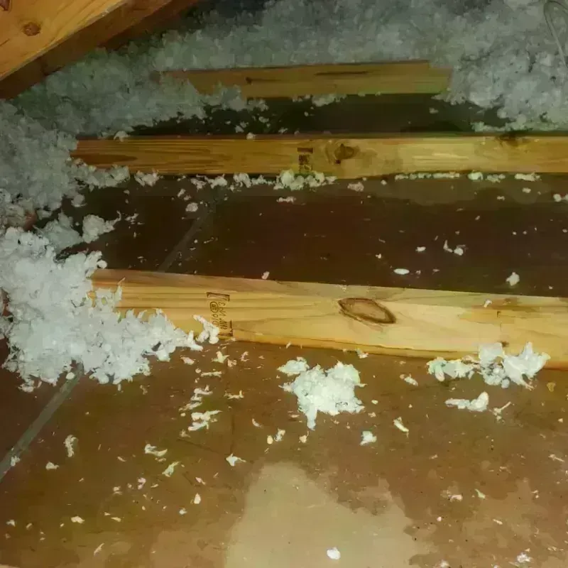 Attic Water Damage in Quail Ridge, FL